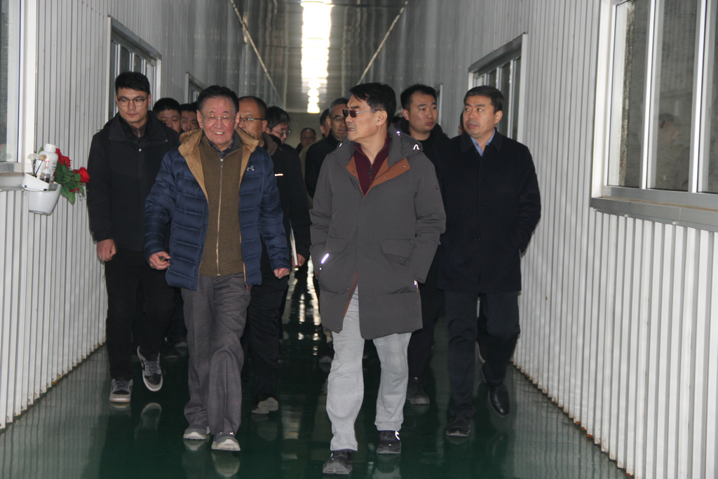 20250118，日照經(jīng)開(kāi)區(qū)黨工委書(shū)記、管委會(huì)主任盧東磊到山東恒泰海洋生物科技有限公司調(diào)研